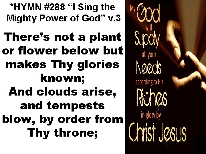 *HYMN #288 “I Sing the Mighty Power of God” v. 3 There’s not a