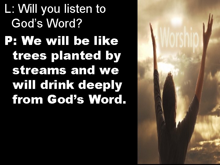 L: Will you listen to God’s Word? P: We will be like trees planted