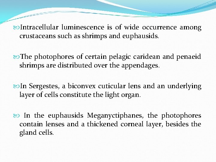  Intracellular luminescence is of wide occurrence among crustaceans such as shrimps and euphausids.