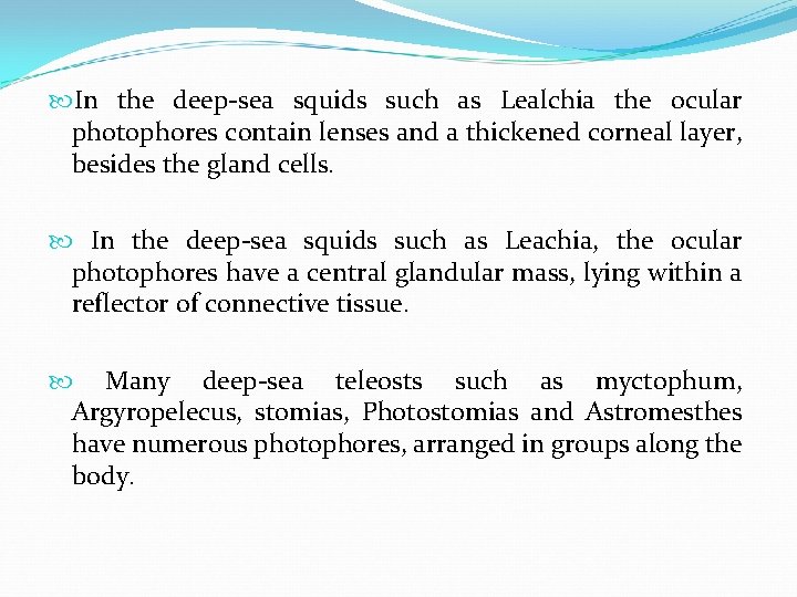  In the deep-sea squids such as Lealchia the ocular photophores contain lenses and