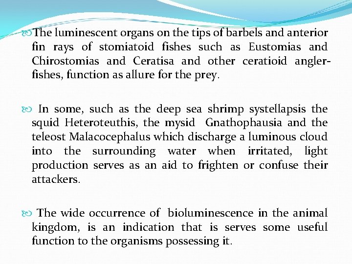  The luminescent organs on the tips of barbels and anterior fin rays of