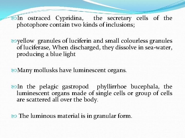  In ostraced Cypridina, the secretary cells of the photophore contain two kinds of