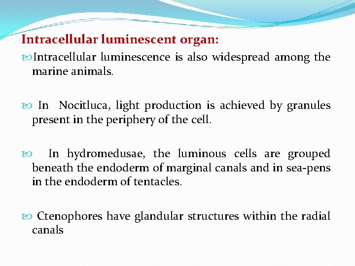 Intracellular luminescent organ: Intracellular luminescence is also widespread among the marine animals. In Nocitluca,