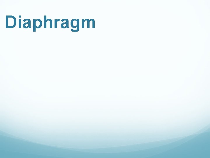 Diaphragm 