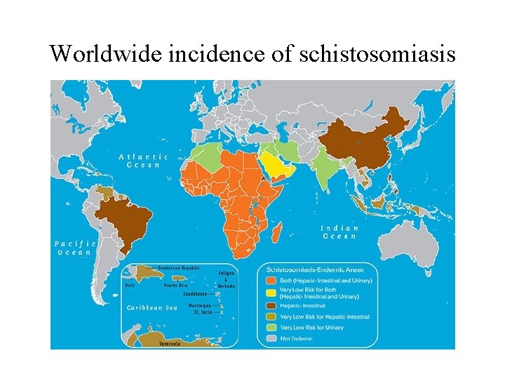 Worldwide incidence of schistosomiasis 