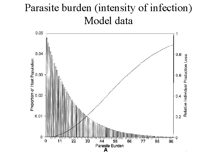 Parasite burden (intensity of infection) Model data 