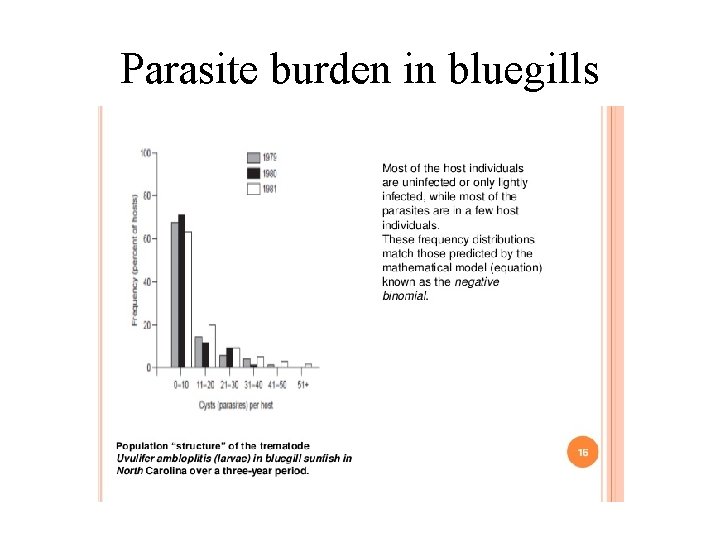 Parasite burden in bluegills 