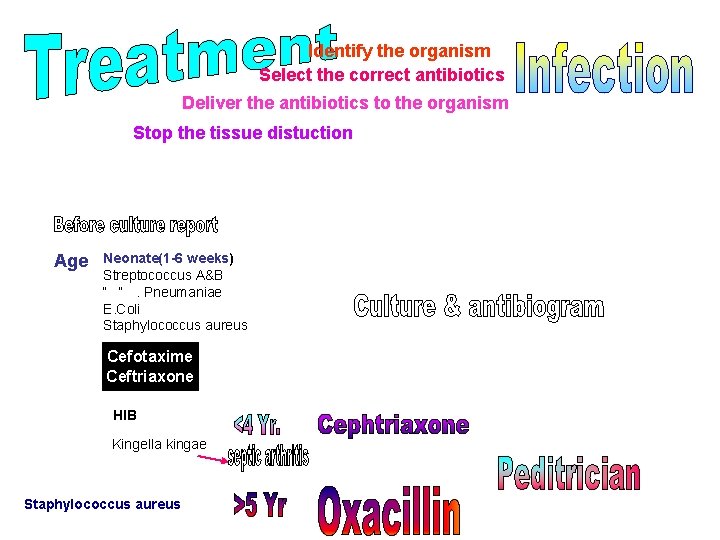 Identify the organism Select the correct antibiotics Deliver the antibiotics to the organism Stop