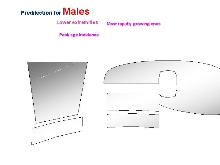 Predilection for Males Lower extremities Peak age incidence Most rapidly growing ends 