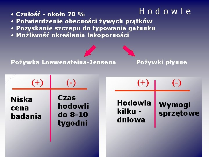  • • Hod Czułość - około 70 % Potwierdzenie obecności żywych prątków Pozyskanie