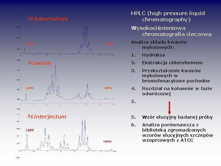 HPLC (high pressure liquid chromatography) M. tuberculosis Wysokociśnieniowa chromatografia cieczowa LMW HMW M. avium