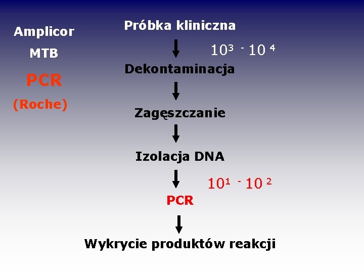 Amplicor Próbka kliniczna 103 - 10 4 MTB PCR (Roche) Dekontaminacja Zagęszczanie Izolacja DNA