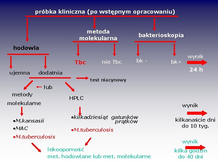 próbka kliniczna (po wstępnym opracowaniu) metoda molekularna bakterioskopia hodowla Tbc ujemna nie Tbc bk