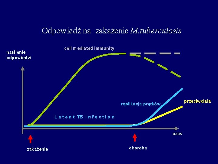 Odpowiedź na zakażenie M. tuberculosis nasilenie odpowiedzi cell mediated immunity przeciwciała replikacja prątków L