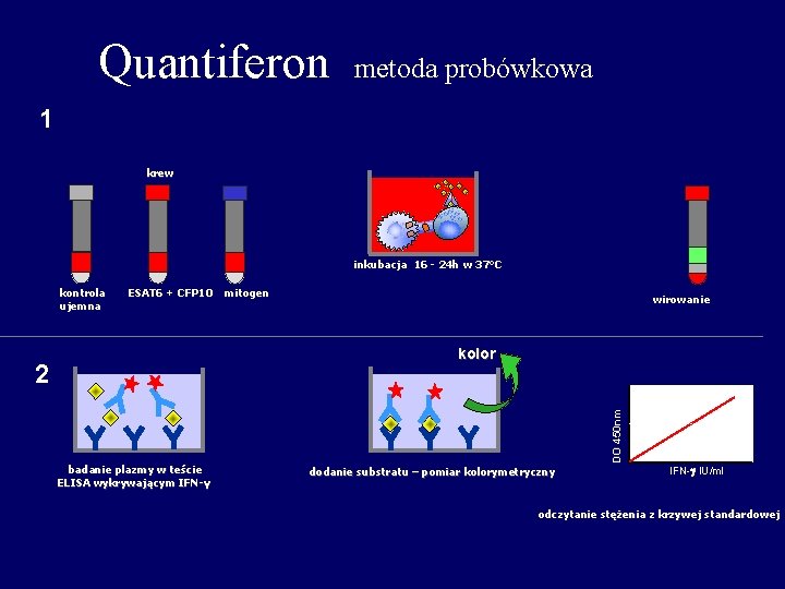 Quantiferon metoda probówkowa 1 krew inkubacja 16 - 24 h w 37°C kontrola ujemna