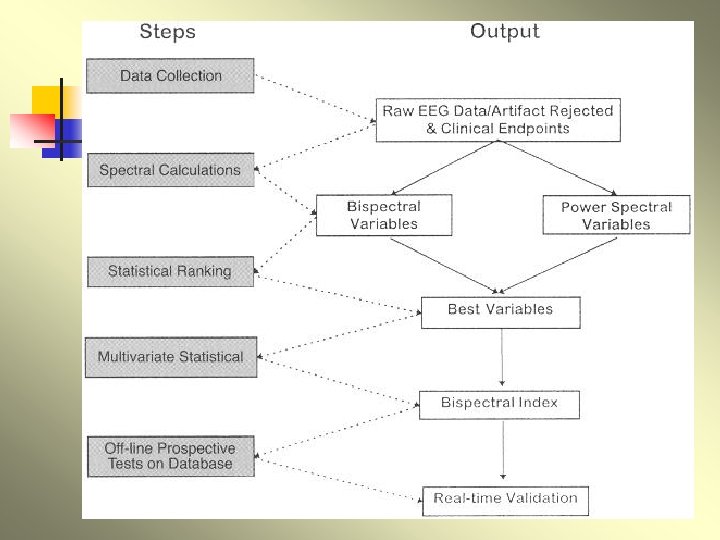 The Bispectral Index development process 