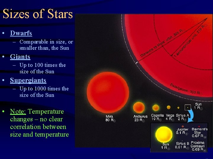 Sizes of Stars • Dwarfs – Comparable in size, or smaller than, the Sun
