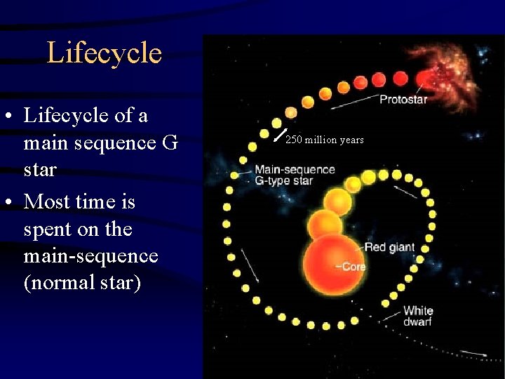 Lifecycle • Lifecycle of a main sequence G star • Most time is spent