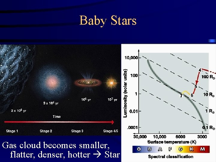 Baby Stars Gas cloud becomes smaller, flatter, denser, hotter Star 