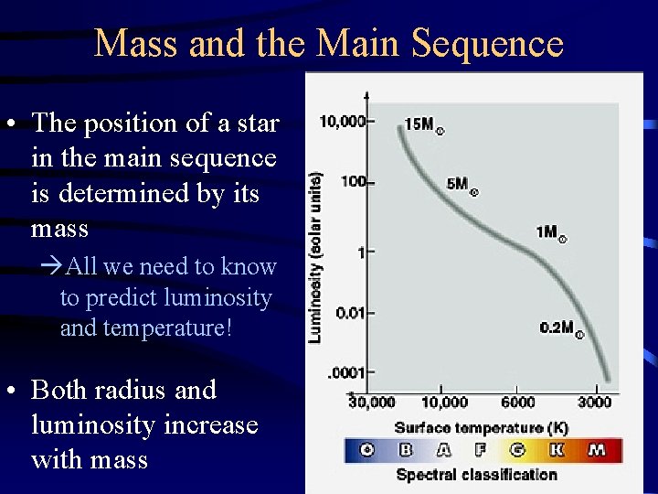 Mass and the Main Sequence • The position of a star in the main