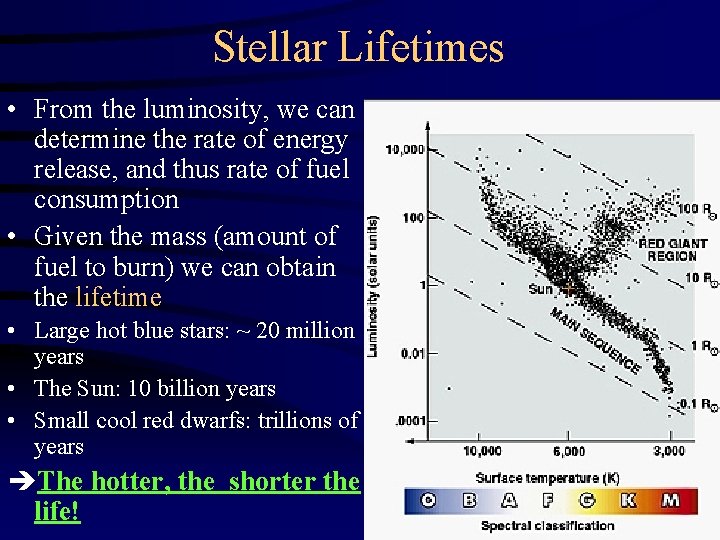 Stellar Lifetimes • From the luminosity, we can determine the rate of energy release,