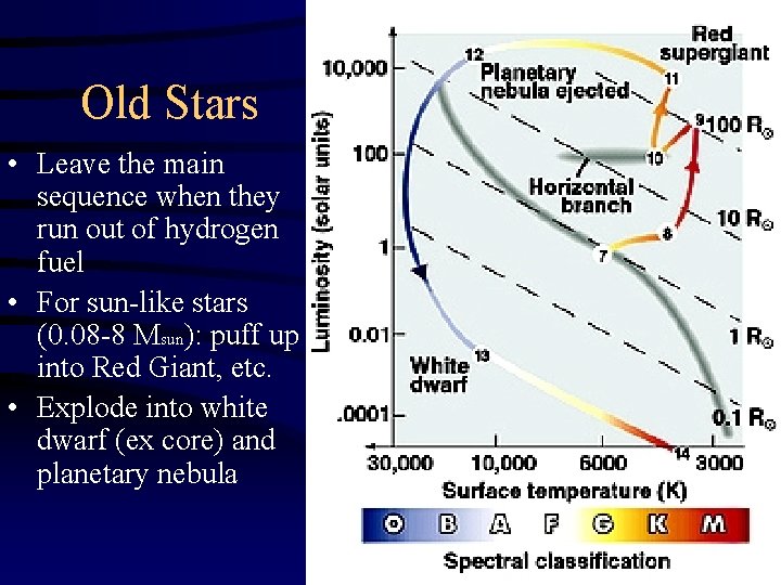 Old Stars • Leave the main sequence when they run out of hydrogen fuel
