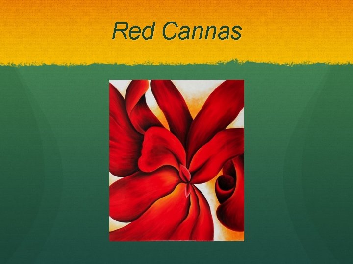 Red Cannas 
