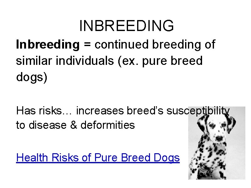 INBREEDING Inbreeding = continued breeding of similar individuals (ex. pure breed dogs) Has risks…