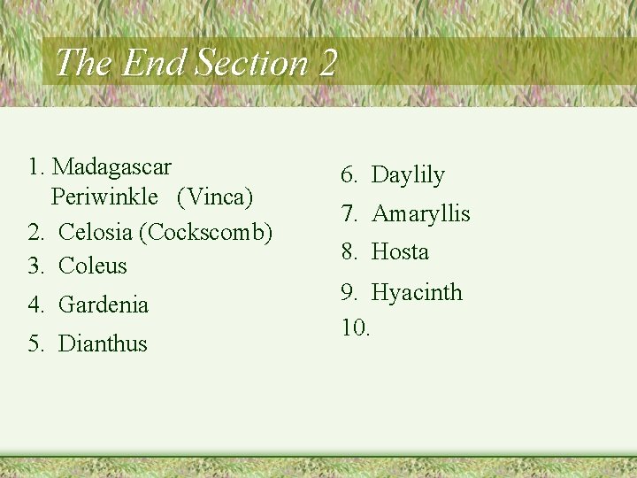 The End Section 2 1. Madagascar Periwinkle (Vinca) 2. Celosia (Cockscomb) 3. Coleus 4.