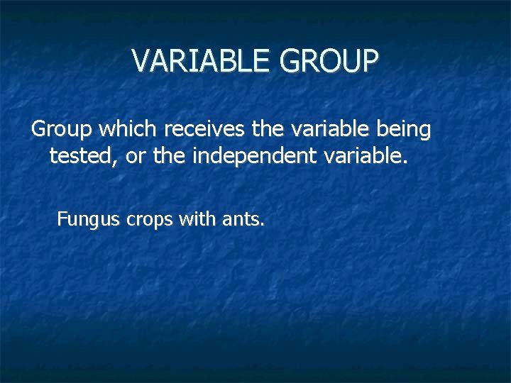 VARIABLE GROUP Group which receives the variable being tested, or the independent variable. Fungus