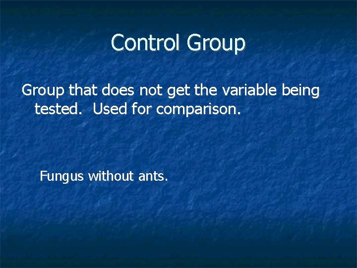 Control Group that does not get the variable being tested. Used for comparison. Fungus