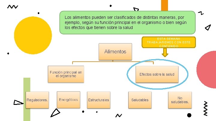 Los alimentos pueden ser clasificados de distintas maneras, por ejemplo, según su función principal