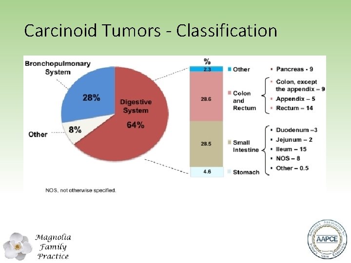 Carcinoid Tumors - Classification 