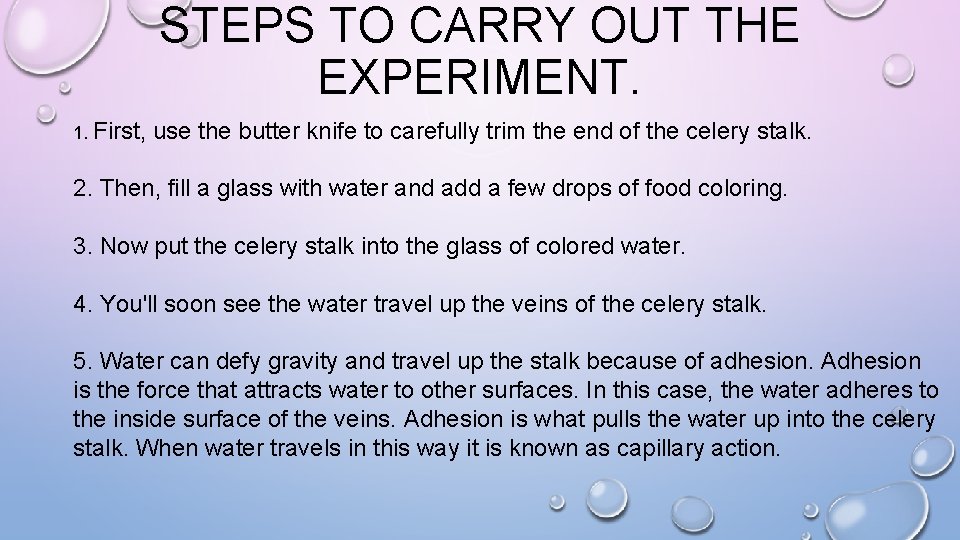 STEPS TO CARRY OUT THE EXPERIMENT. 1. First, use the butter knife to carefully