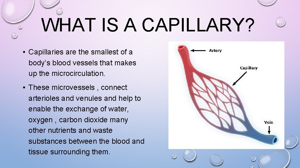 WHAT IS A CAPILLARY? • Capillaries are the smallest of a body’s blood vessels