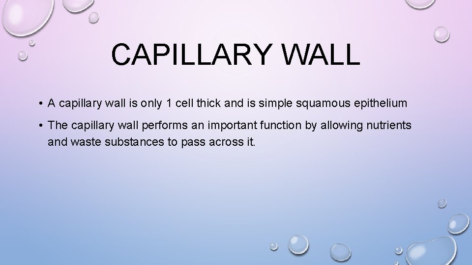 CAPILLARY WALL • A capillary wall is only 1 cell thick and is simple