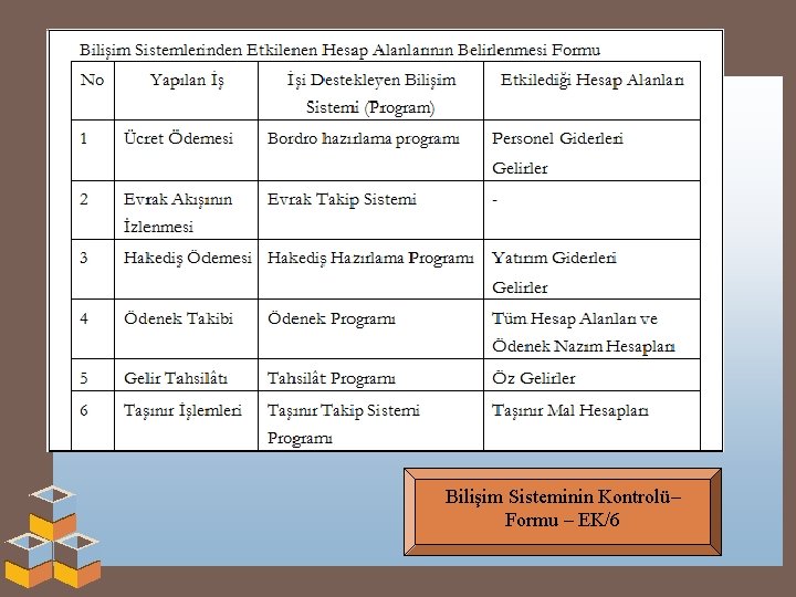 Bilişim Sisteminin Kontrolü– Formu – EK/6 