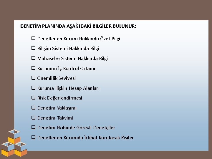 DENETİM PLANINDA AŞAĞIDAKİ BİLGİLER BULUNUR: q Denetlenen Kurum Hakkında Özet Bilgi q Bilişim Sistemi