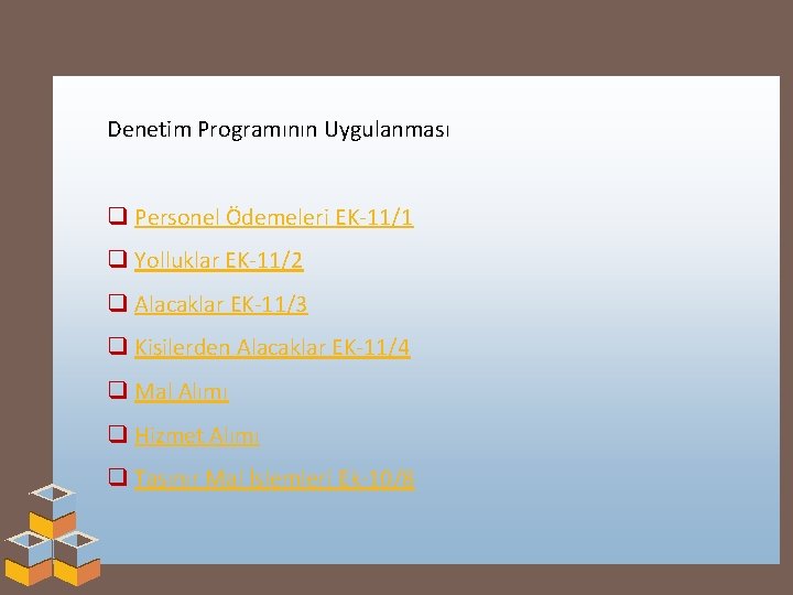 Denetim Programının Uygulanması q Personel Ödemeleri EK-11/1 q Yolluklar EK-11/2 q Alacaklar EK-11/3 q