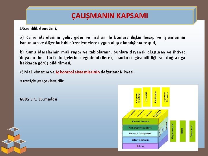 ÇALIŞMANIN KAPSAMI Düzenlilik denetimi; a) Kamu idarelerinin gelir, gider ve malları ile bunlara ilişkin