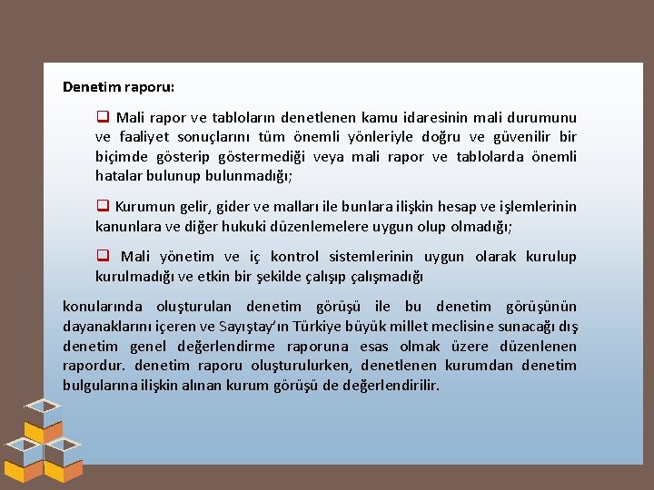 Denetim raporu: q Mali rapor ve tabloların denetlenen kamu idaresinin mali durumunu ve faaliyet