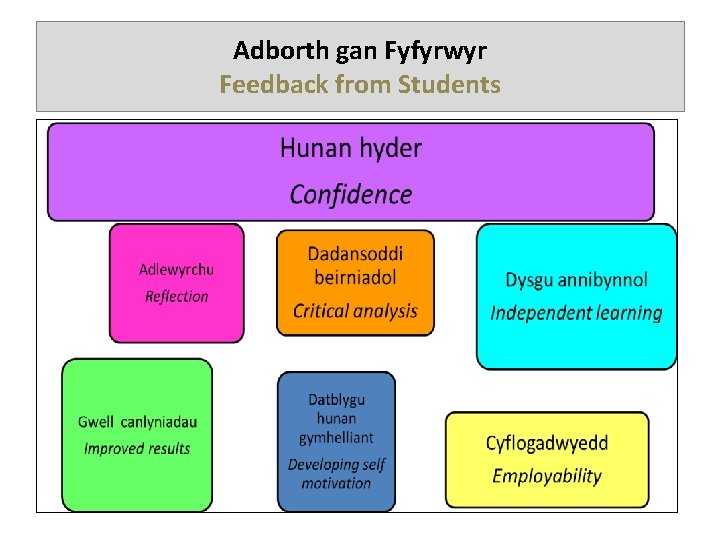 Adborth gan Fyfyrwyr Feedback from Students 