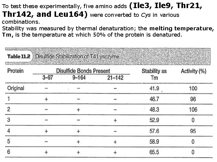 To test these experimentally, five amino adds (Ile 3, Ile 9, Thr 21, Thr