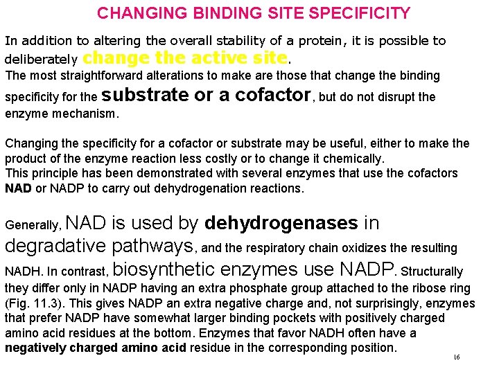 CHANGING BINDING SITE SPECIFICITY In addition to altering the overall stability of a protein,