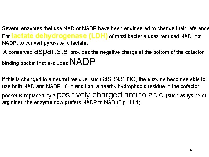 Several enzymes that use NAD or NADP have been engineered to change their reference