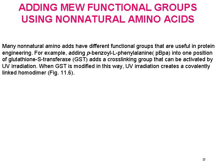 ADDING MEW FUNCTIONAL GROUPS USING NONNATURAL AMINO ACIDS Many nonnatural amino adds have different