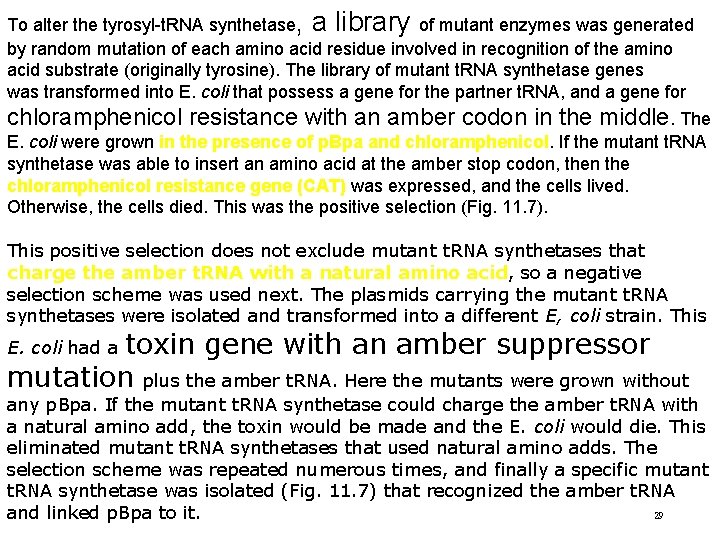 To alter the tyrosyl-t. RNA synthetase, a library of mutant enzymes was generated by