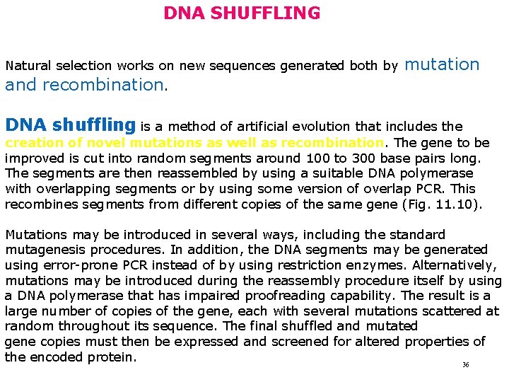 DNA SHUFFLING Natural selection works on new sequences generated both by and recombination. mutation