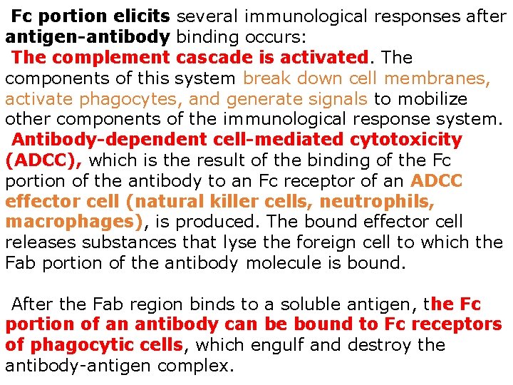 Fc portion elicits several immunological responses after antigen-antibody binding occurs: The complement cascade is