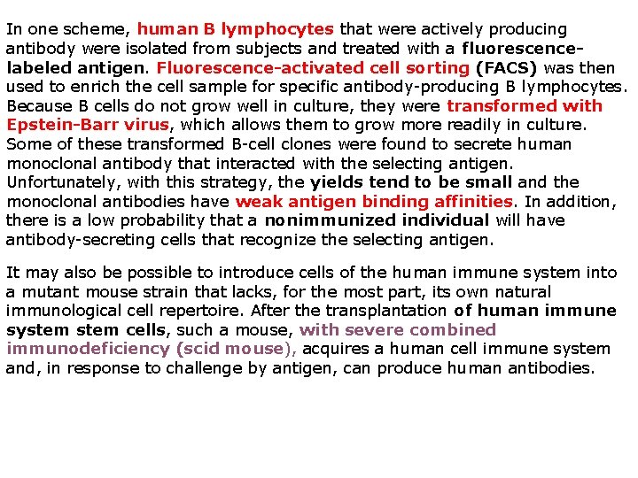 In one scheme, human B lymphocytes that were actively producing antibody were isolated from